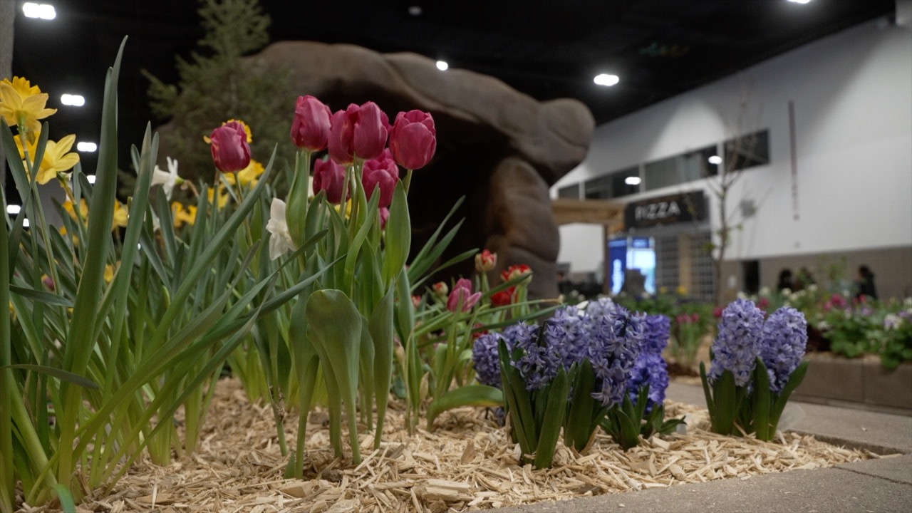 Colorado Garden and Home Show.jpg