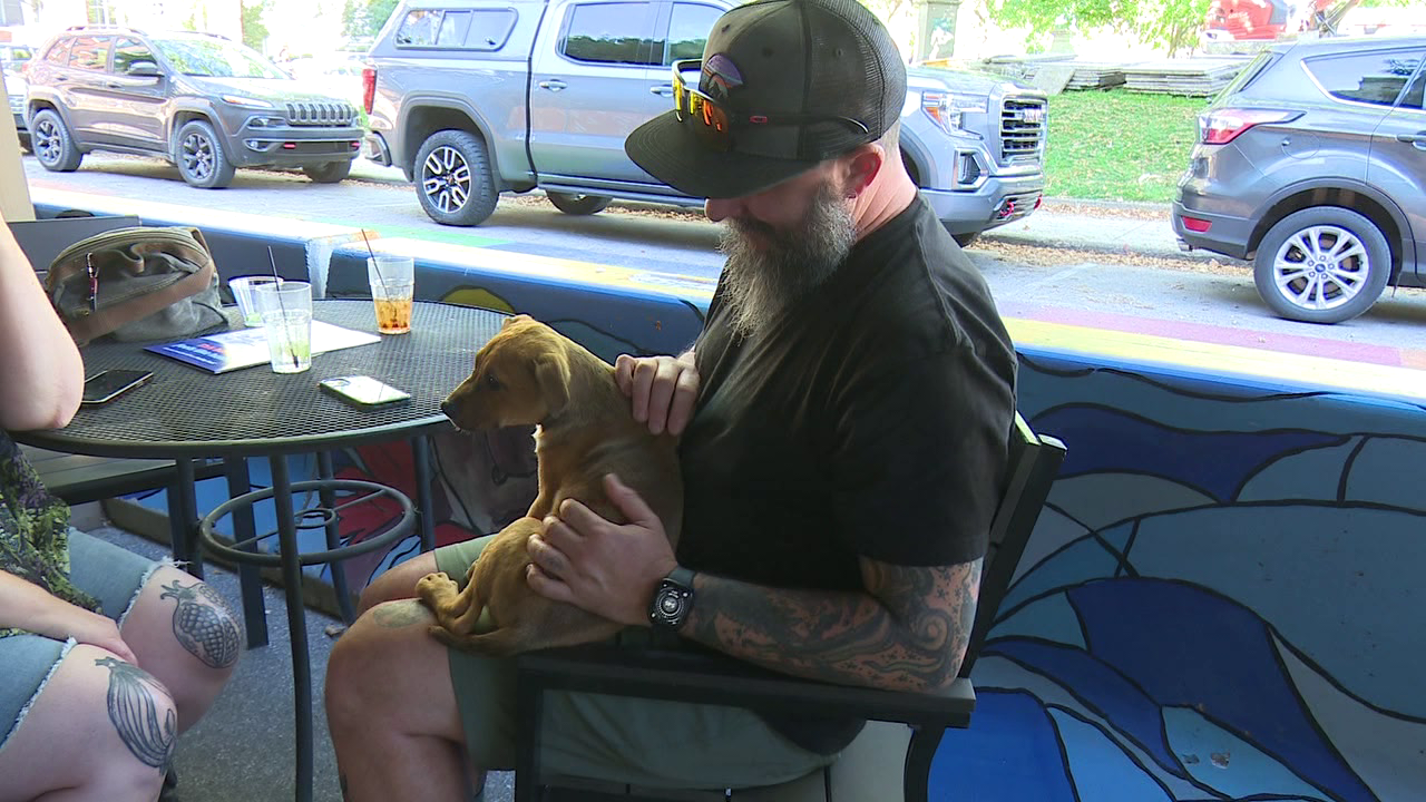 Puppies on the Porch