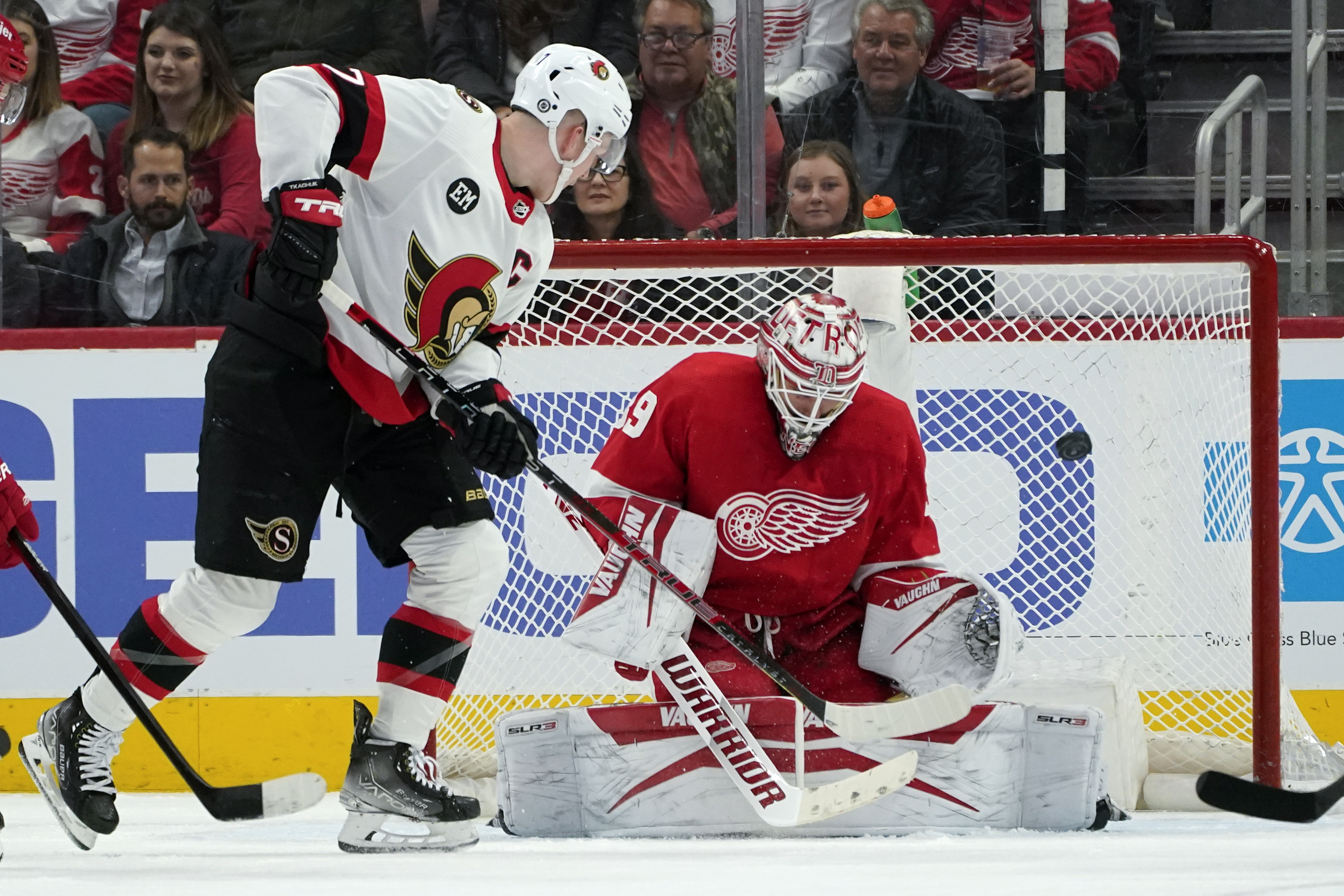 Senators Red Wings Hockey