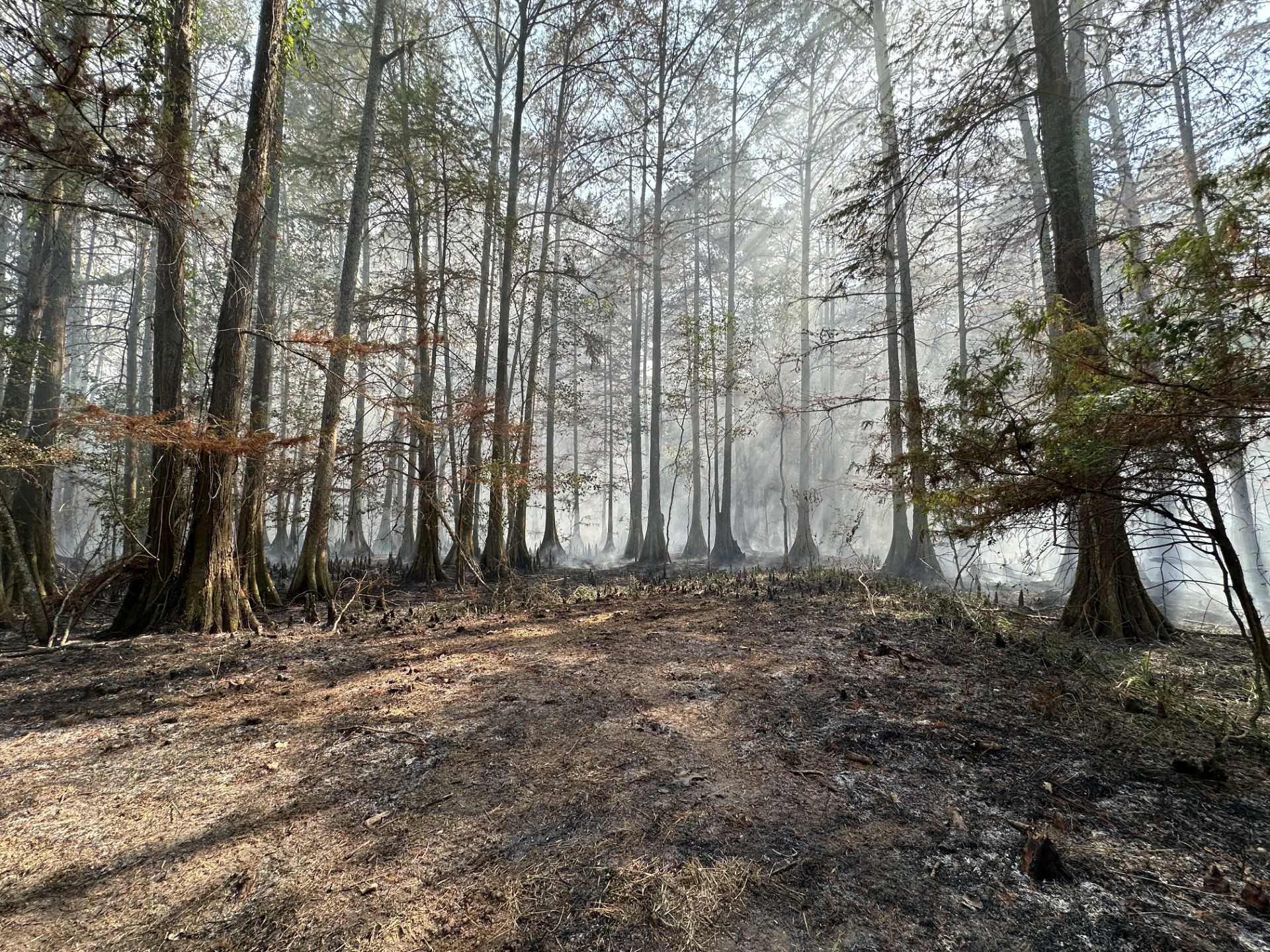 CHANCE ROAD FIRE .jpeg