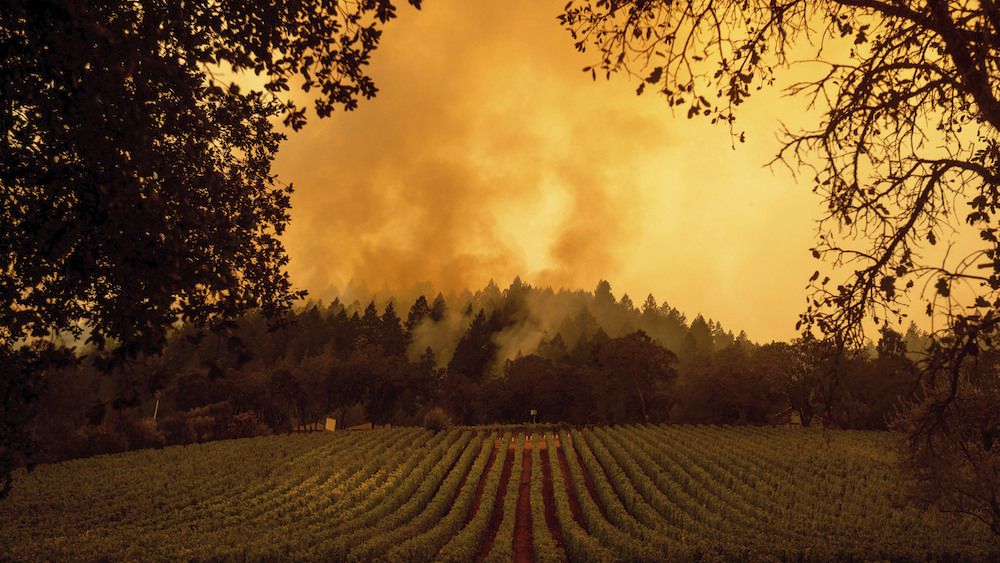 Firefighters hope dying winds will help them contain wildfire currently torching CA wine country