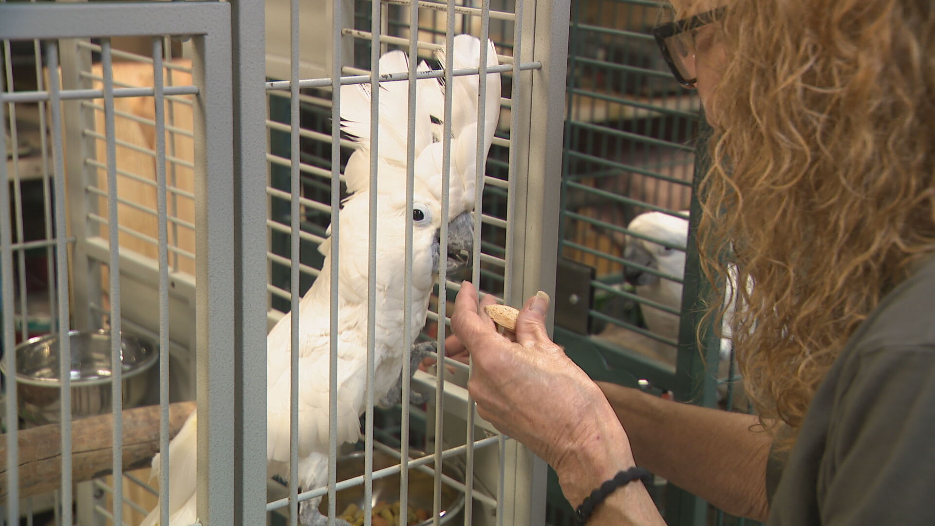 Exotic Avian Sanctuary of Tennessee.jpeg