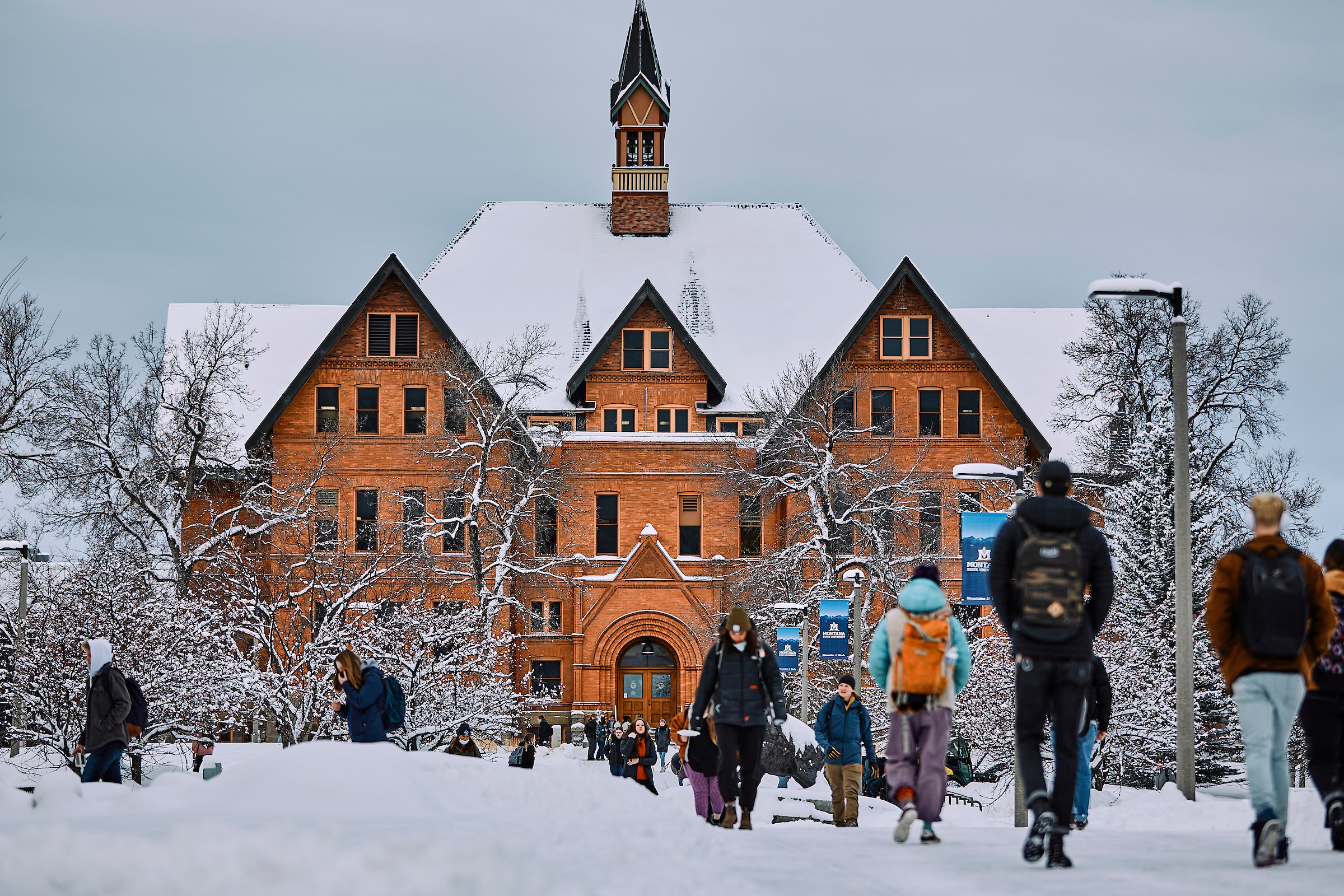 Montana State University sets spring enrollment record - Vimarsana News