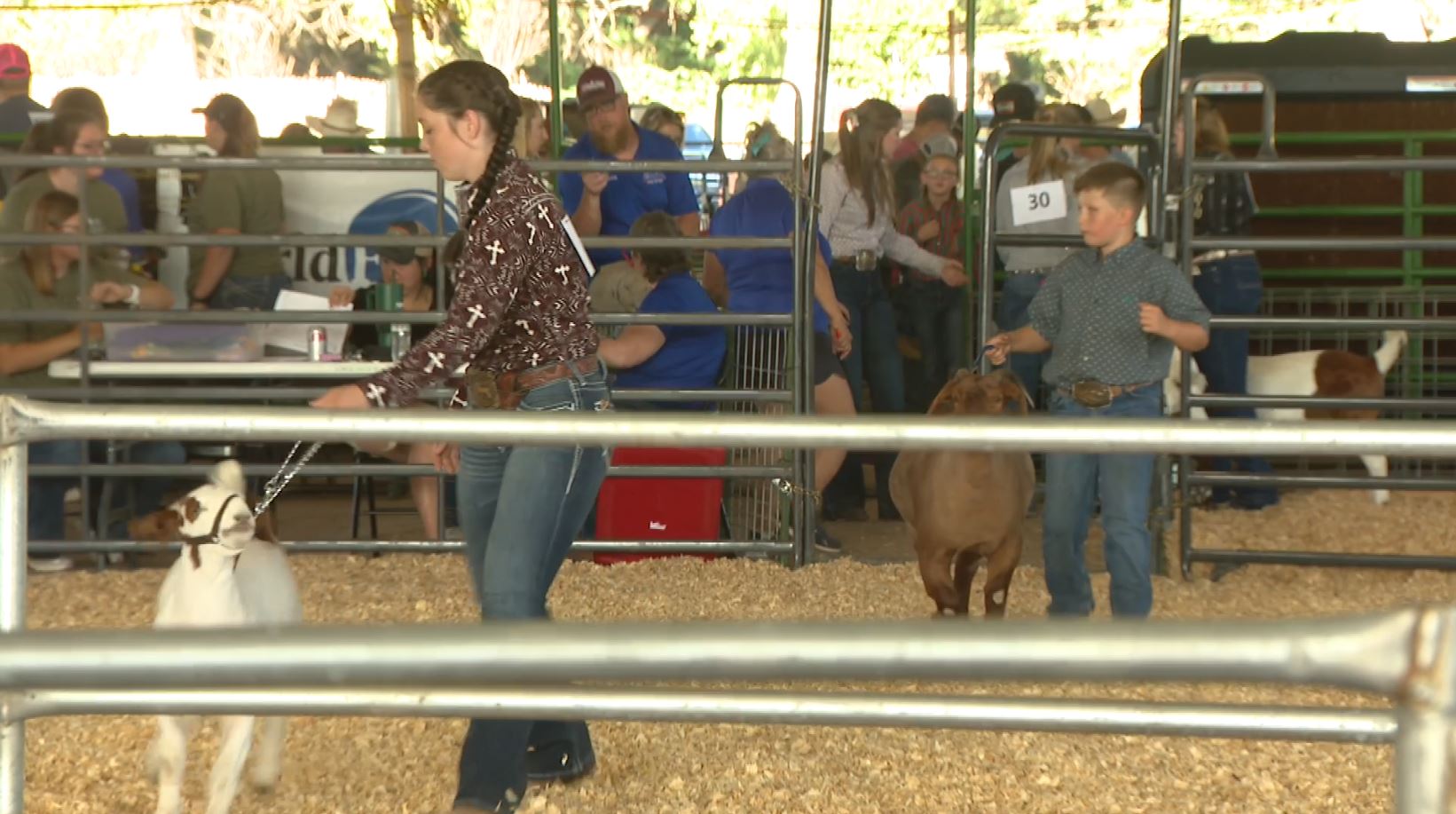 Fremont County Fair 