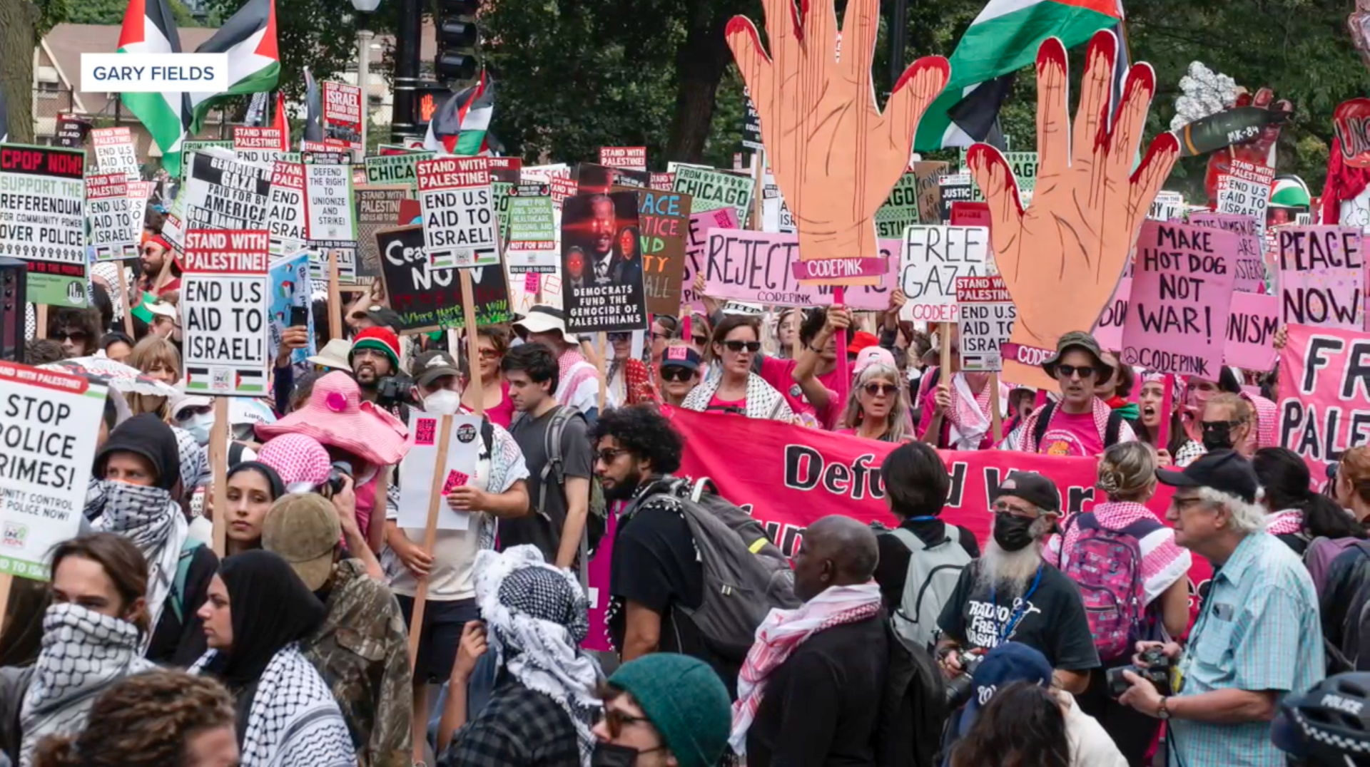 UCSD Professor joins war protests outside DNC in Chicago