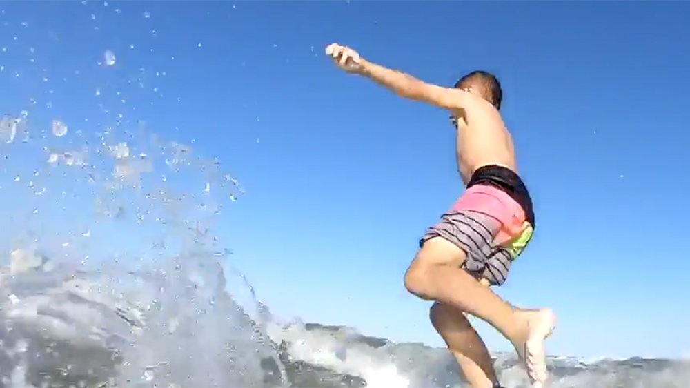 WPTV-NSB-SHARK.jpg