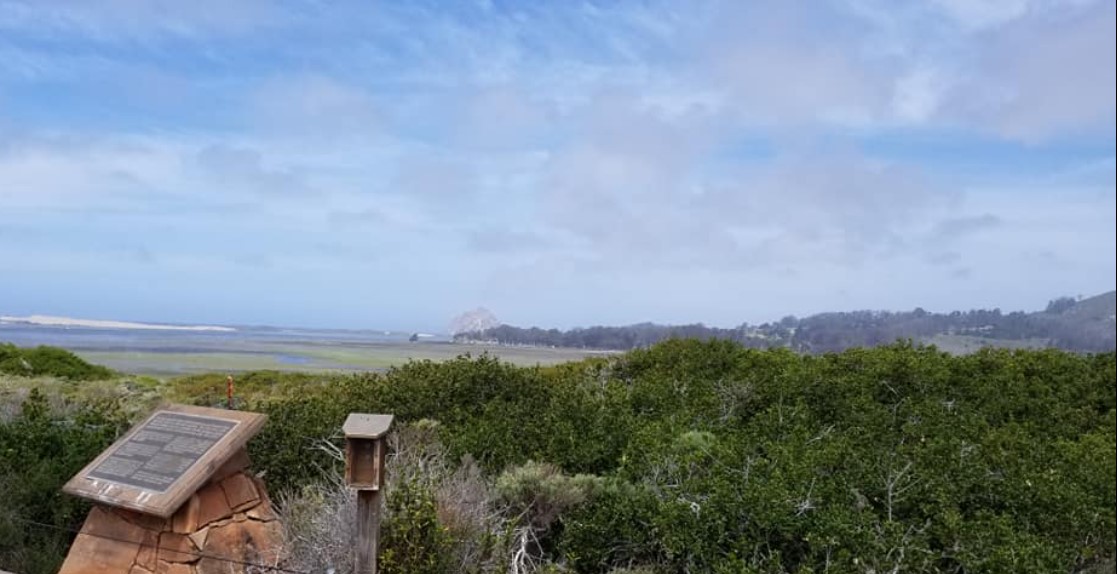 Los Osos skies with clouds
