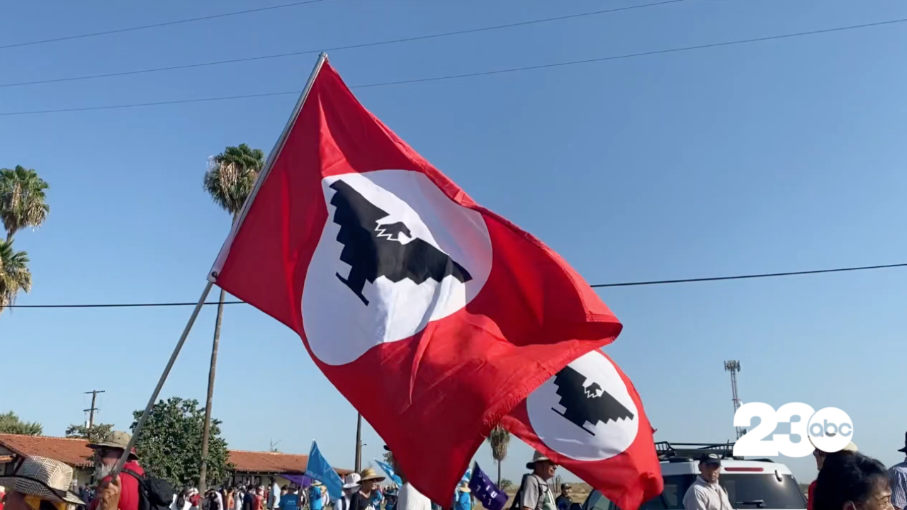 United Farm Workers Flag
