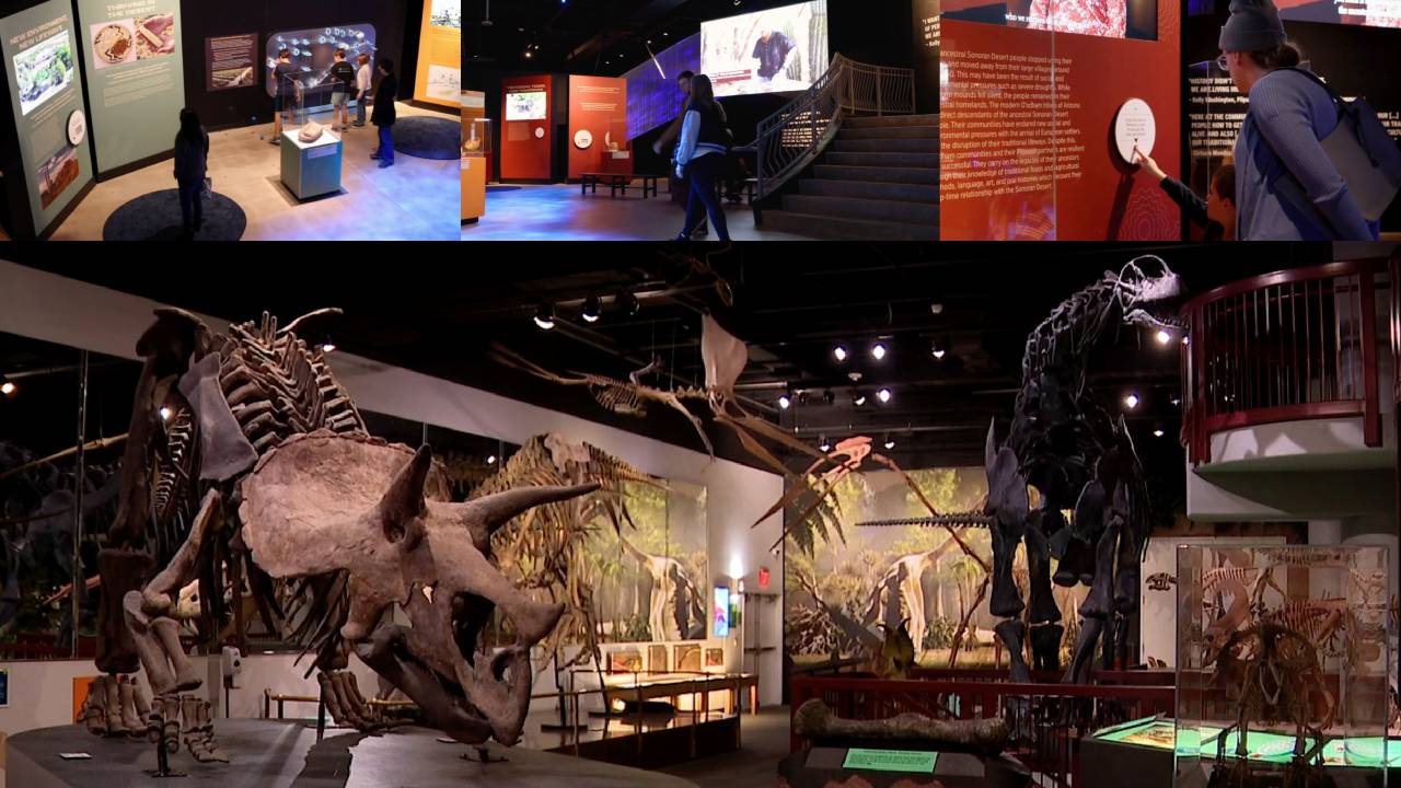 Experience the new exhibit ‘THRIVE’ along with fun July events at the Arizona Museum of Natural History in Mesa, Arizona. 