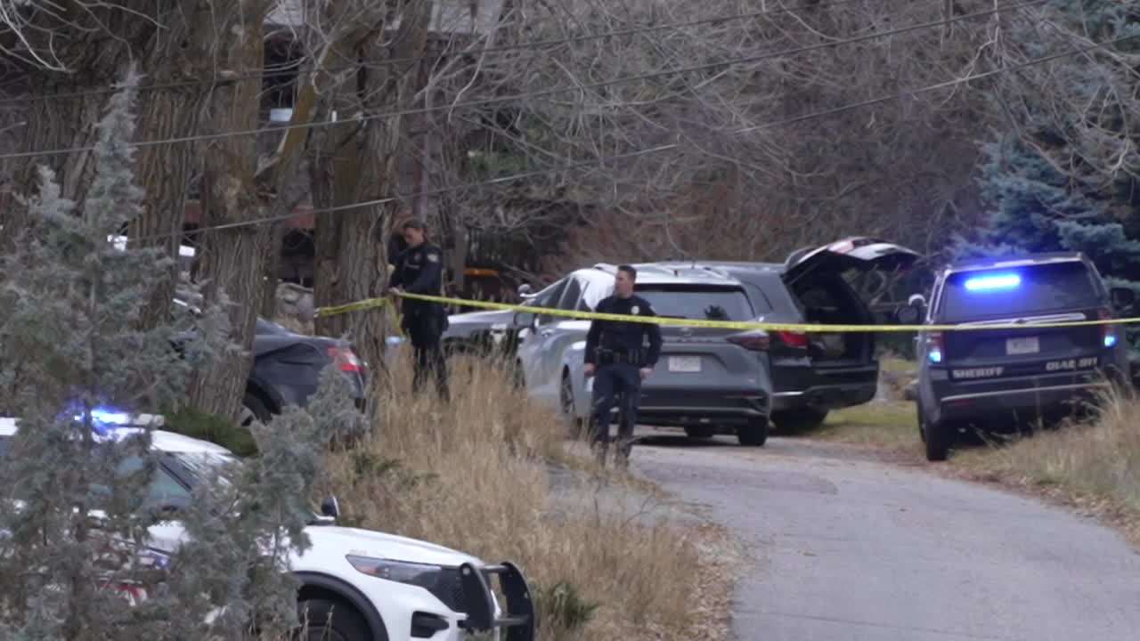 Rattlesnake Police Activity 