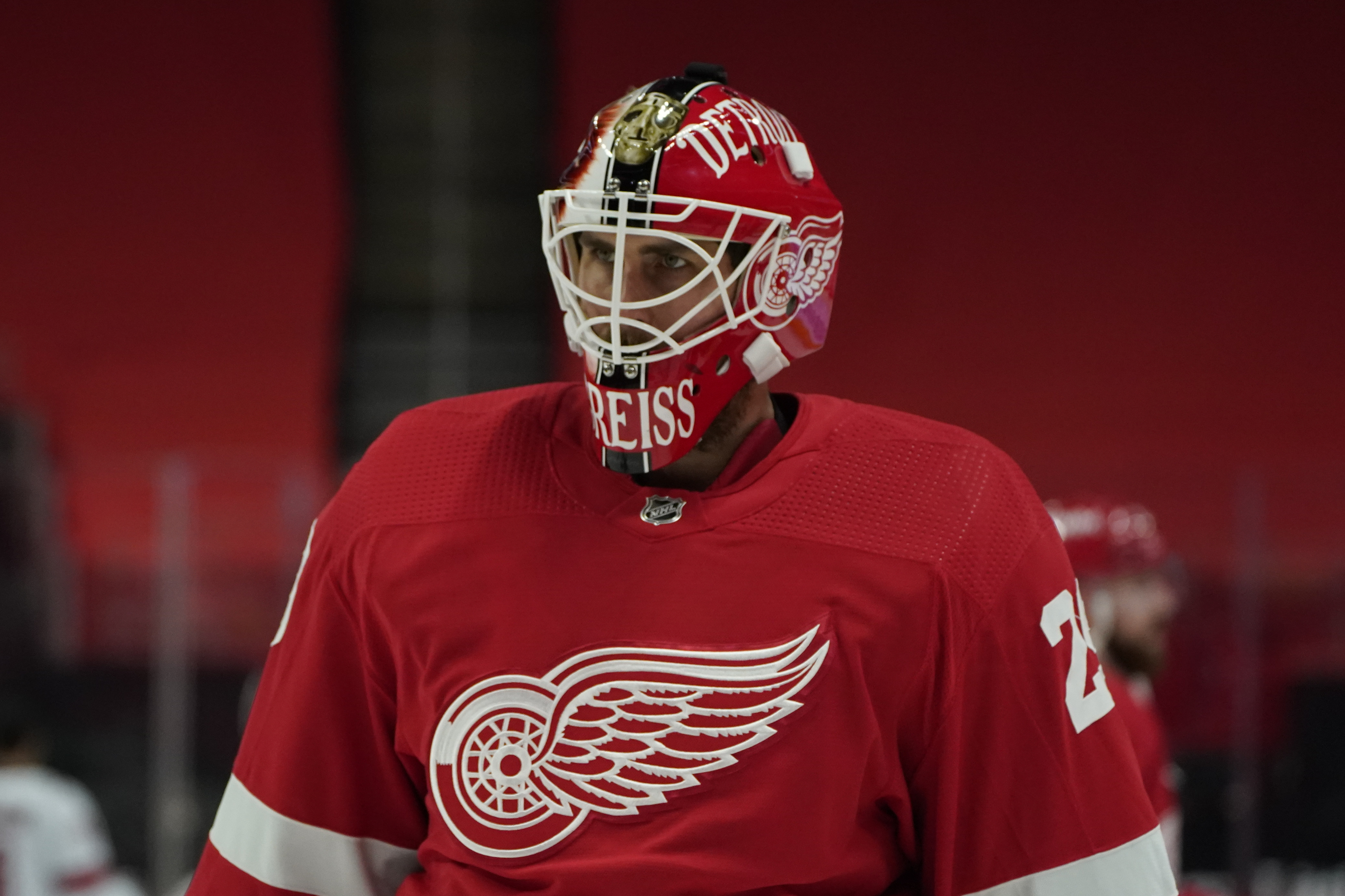 Thomas Greiss Hurricanes Red Wings Hockey