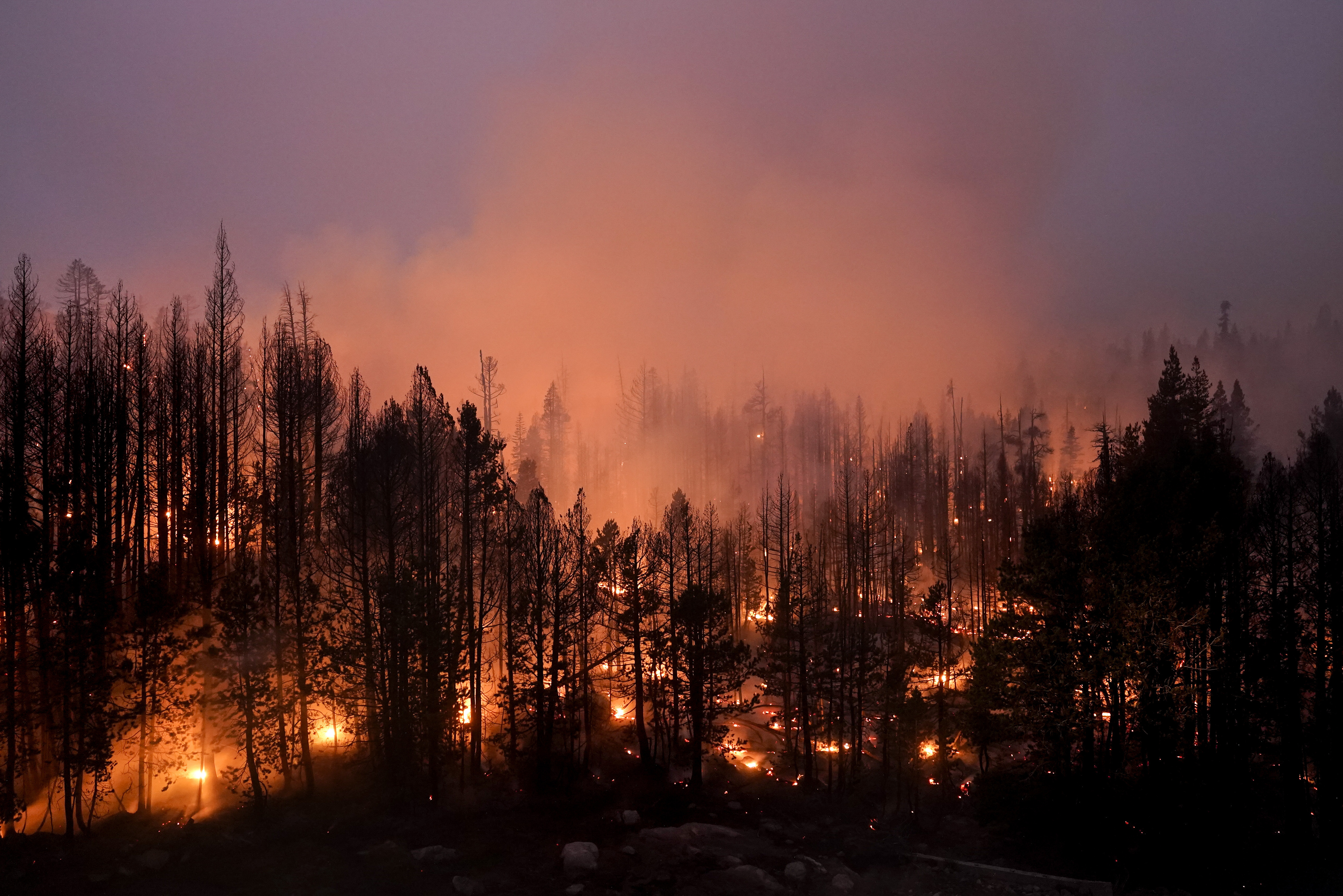 Western Wildfires Biden Plan