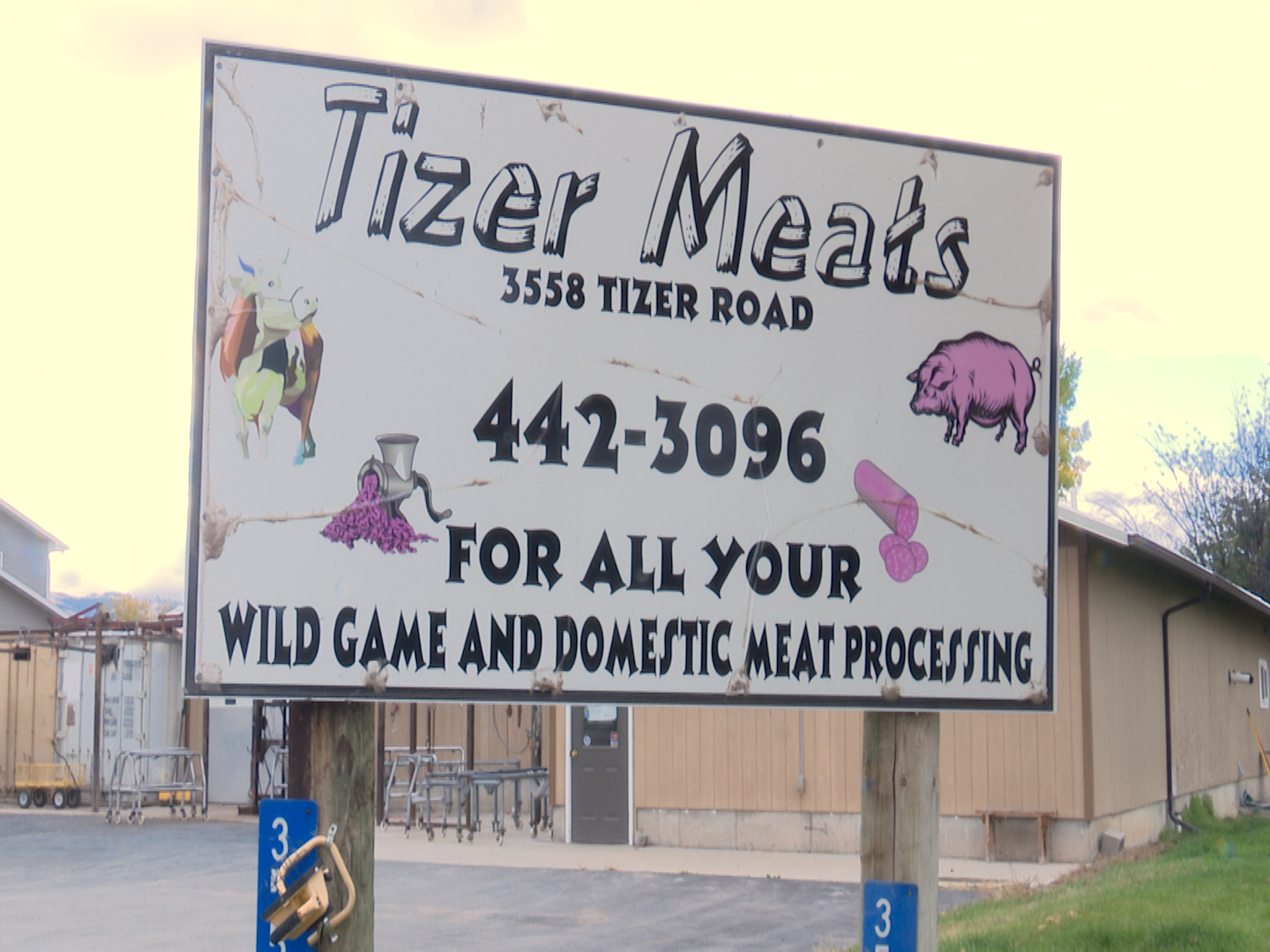 Tizer.jpg