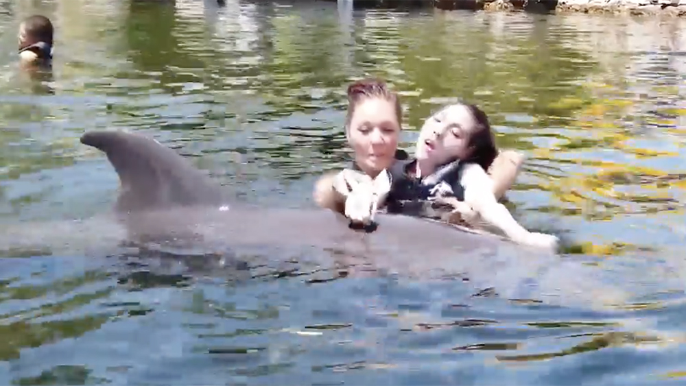 WPTV-MAKE-A-WISH-DOLPHIN.jpg