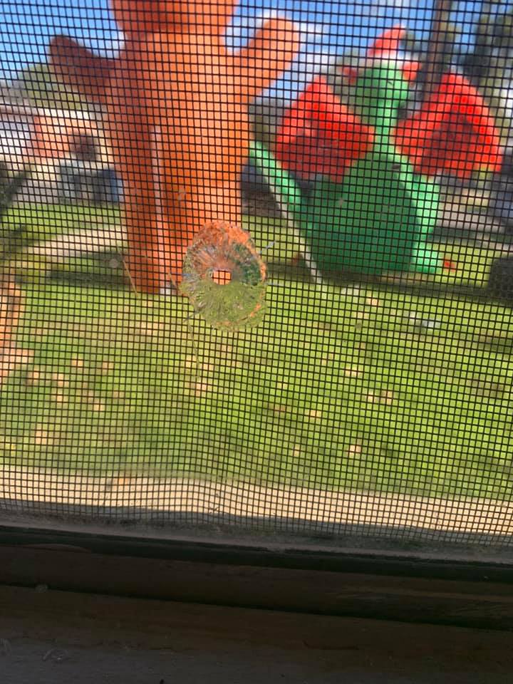 Escondido inflatables attacked 121519