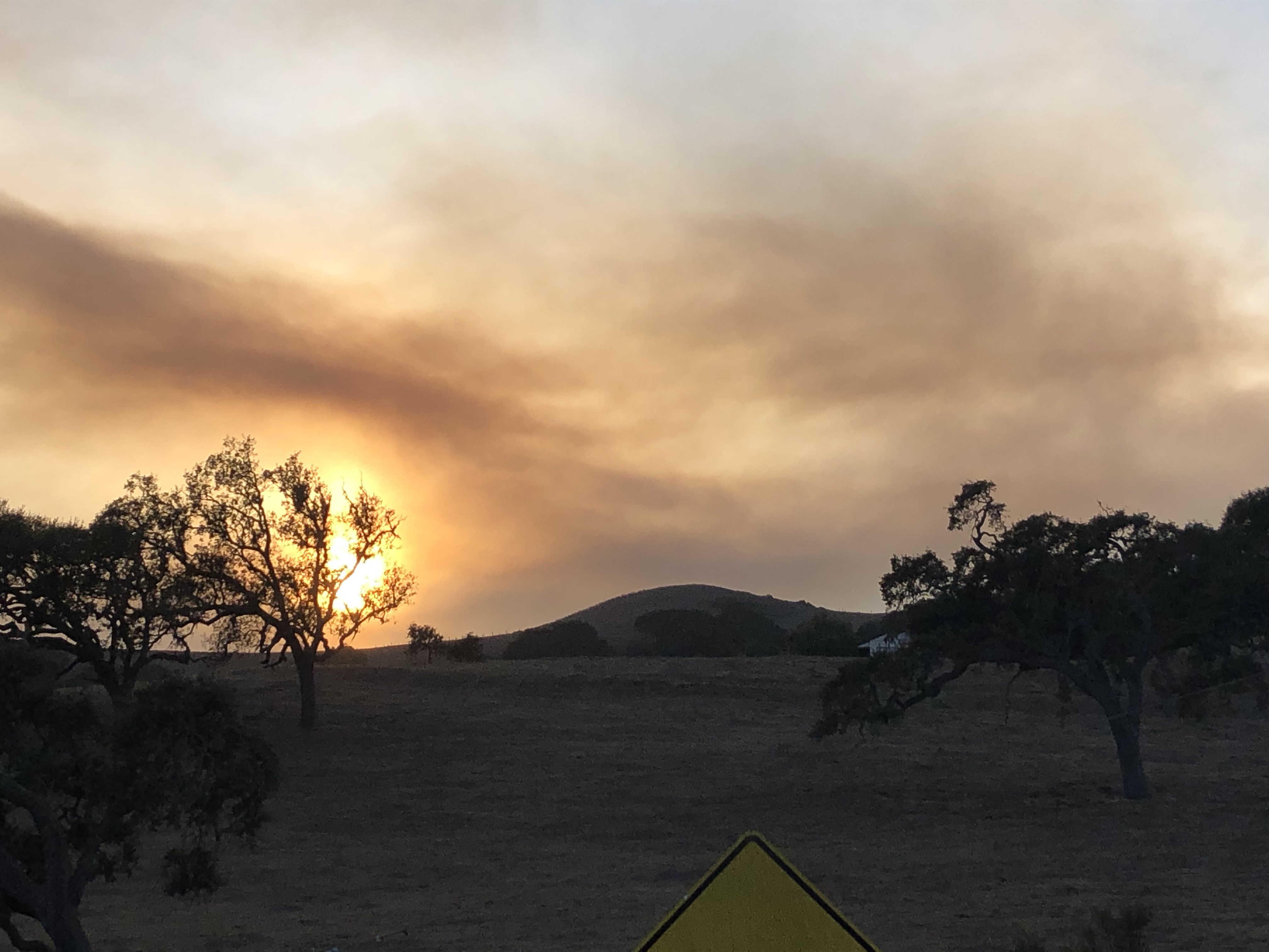 CONTROLLED BURN.jpg