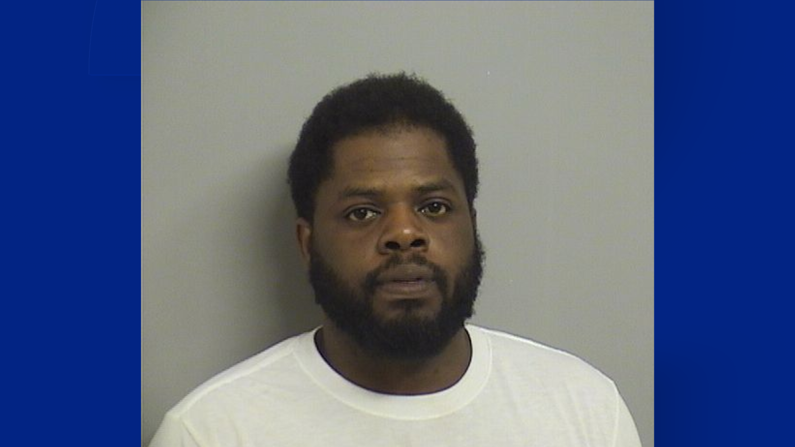 My project-1 (1).png