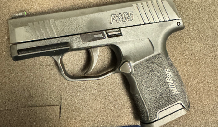 SigSauer from TSA Norfolk