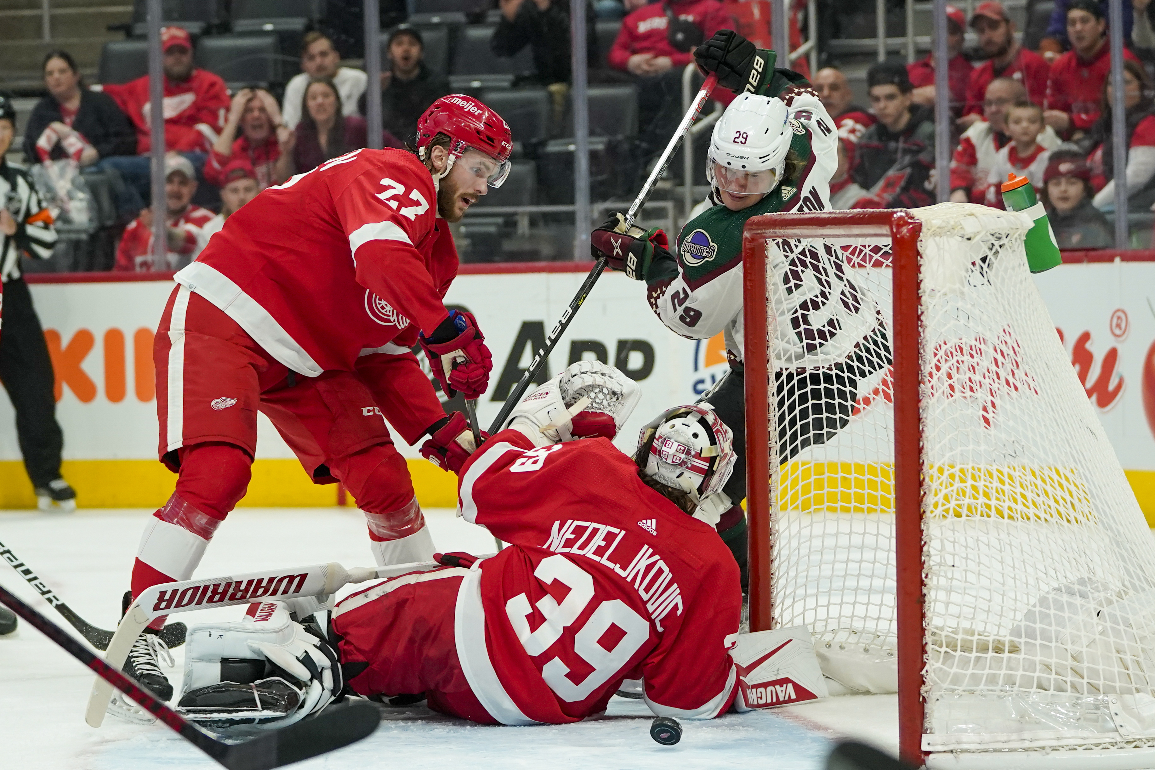 Barrett Hayton, Alex Nedeljkovic Coyotes Red Wings Hockey