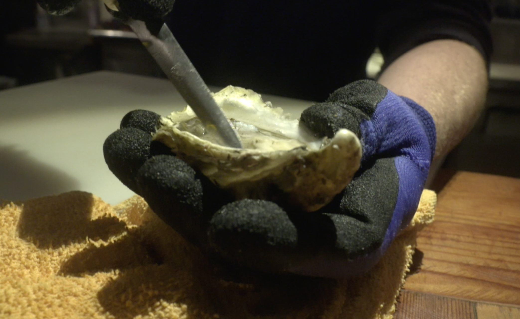 Bins let New Orleans oyster lovers give shells for reefs - Vimarsana News