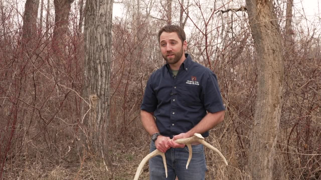 jacobsen shed hunting.jpg