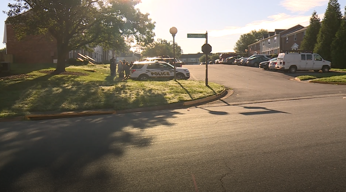 Chippendale Court 01.png