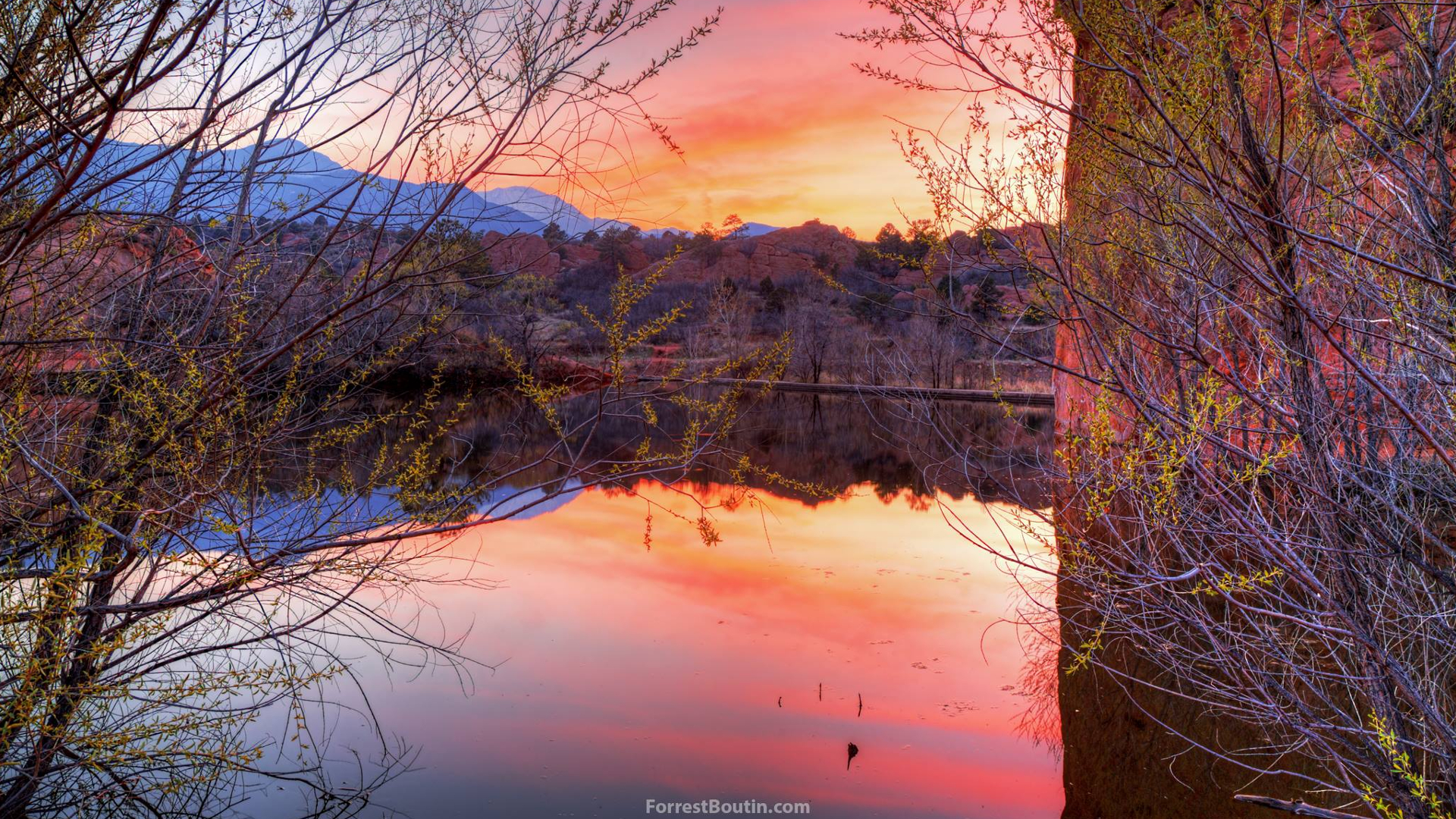 Red Rock Canyon Open Space Forrest Boutin Photography 6.jpg