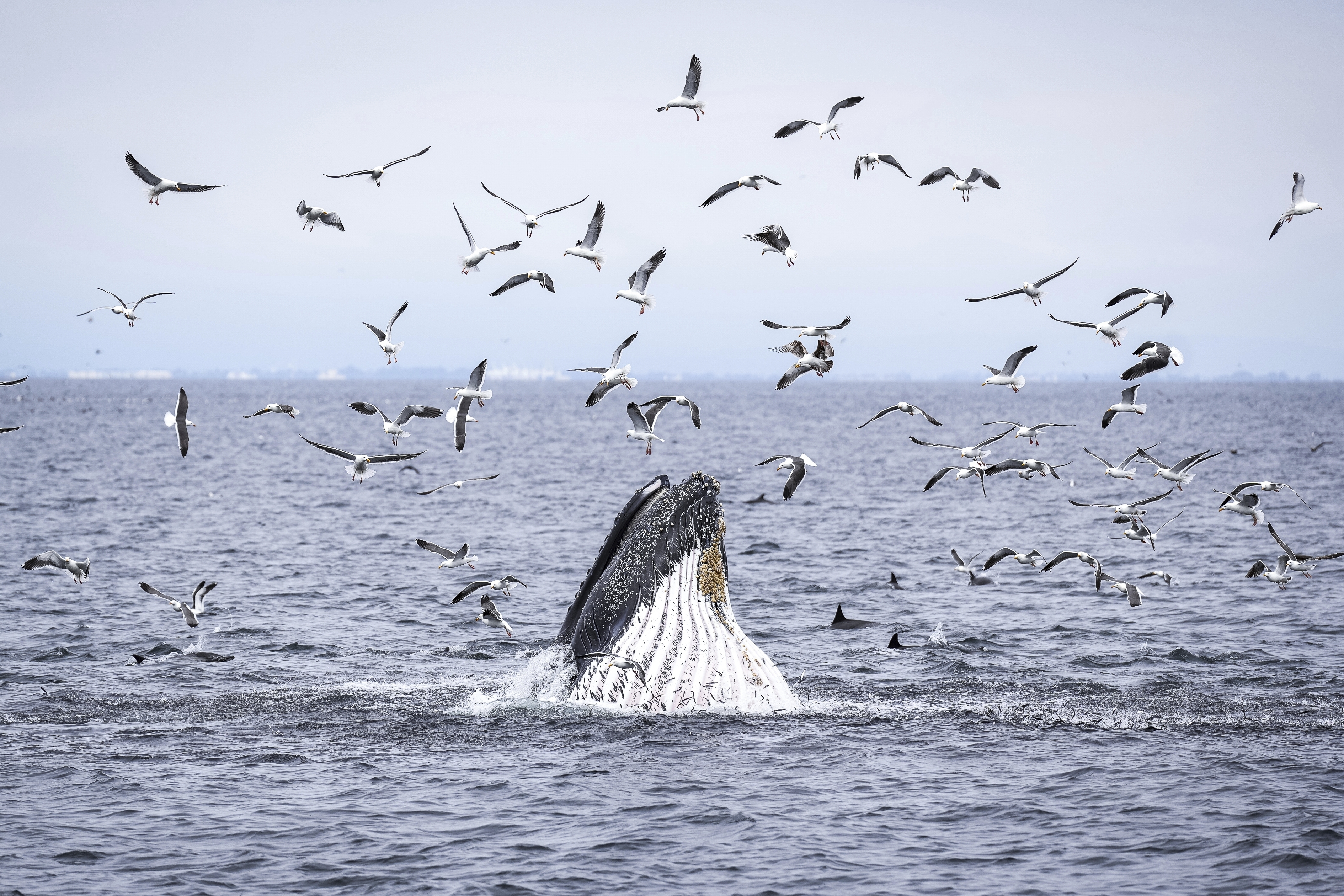 APTOPIX Climate Marine Protected Areas
