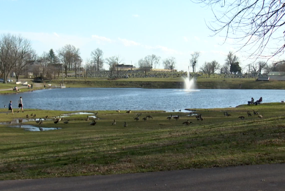 Screenshot 2026-03-06 221257.png