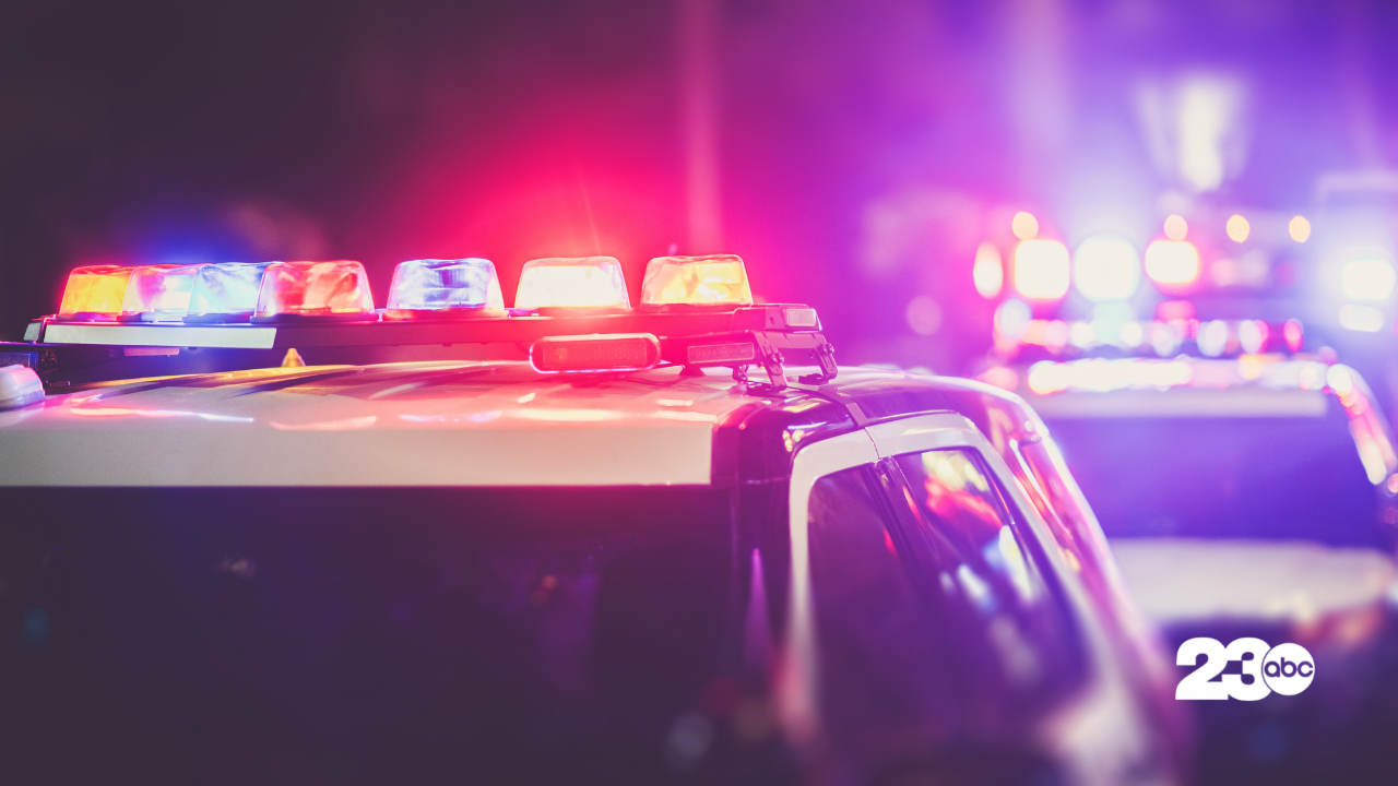 Police (FILE)