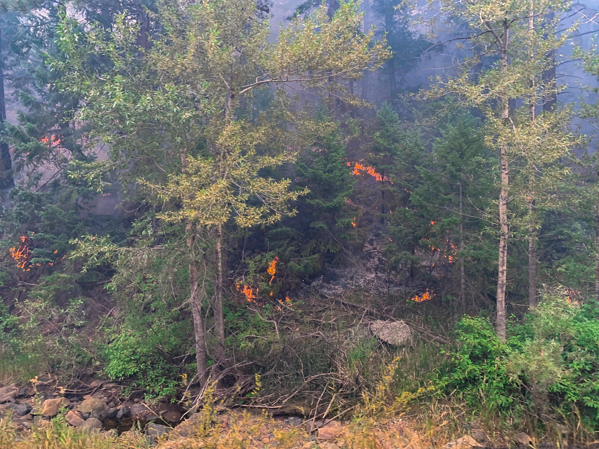 DCP_QuarryFire_Backbrun_20240805_5.jpg