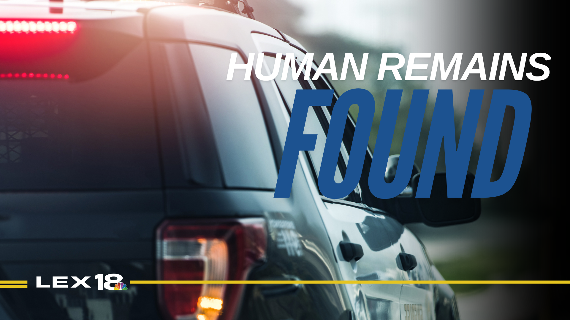 Human Remains Found