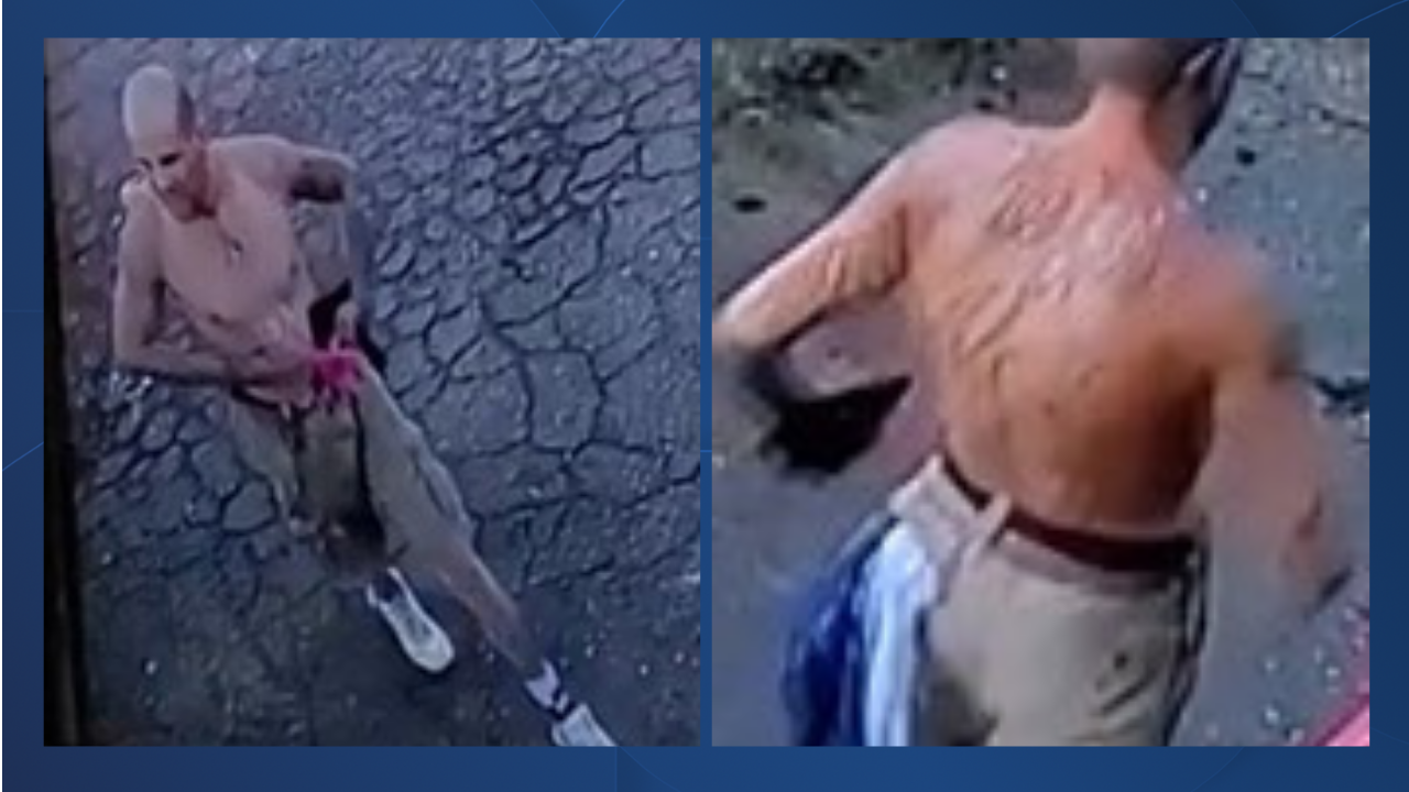 Bakersfield Police seek help identifying auto theft suspect