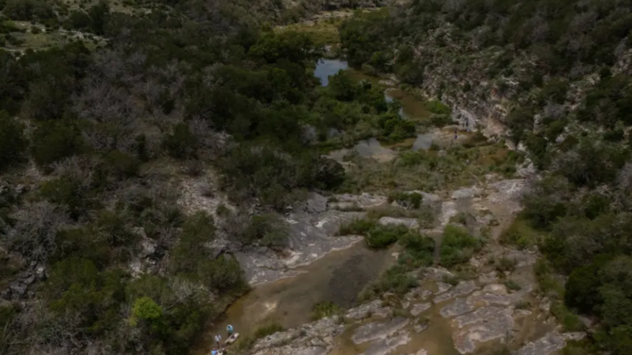 Texas New State park
