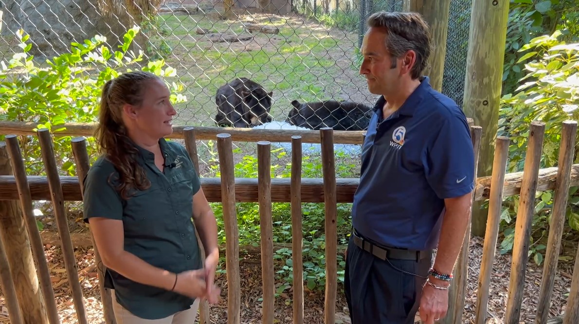 Walter Zoo Bears