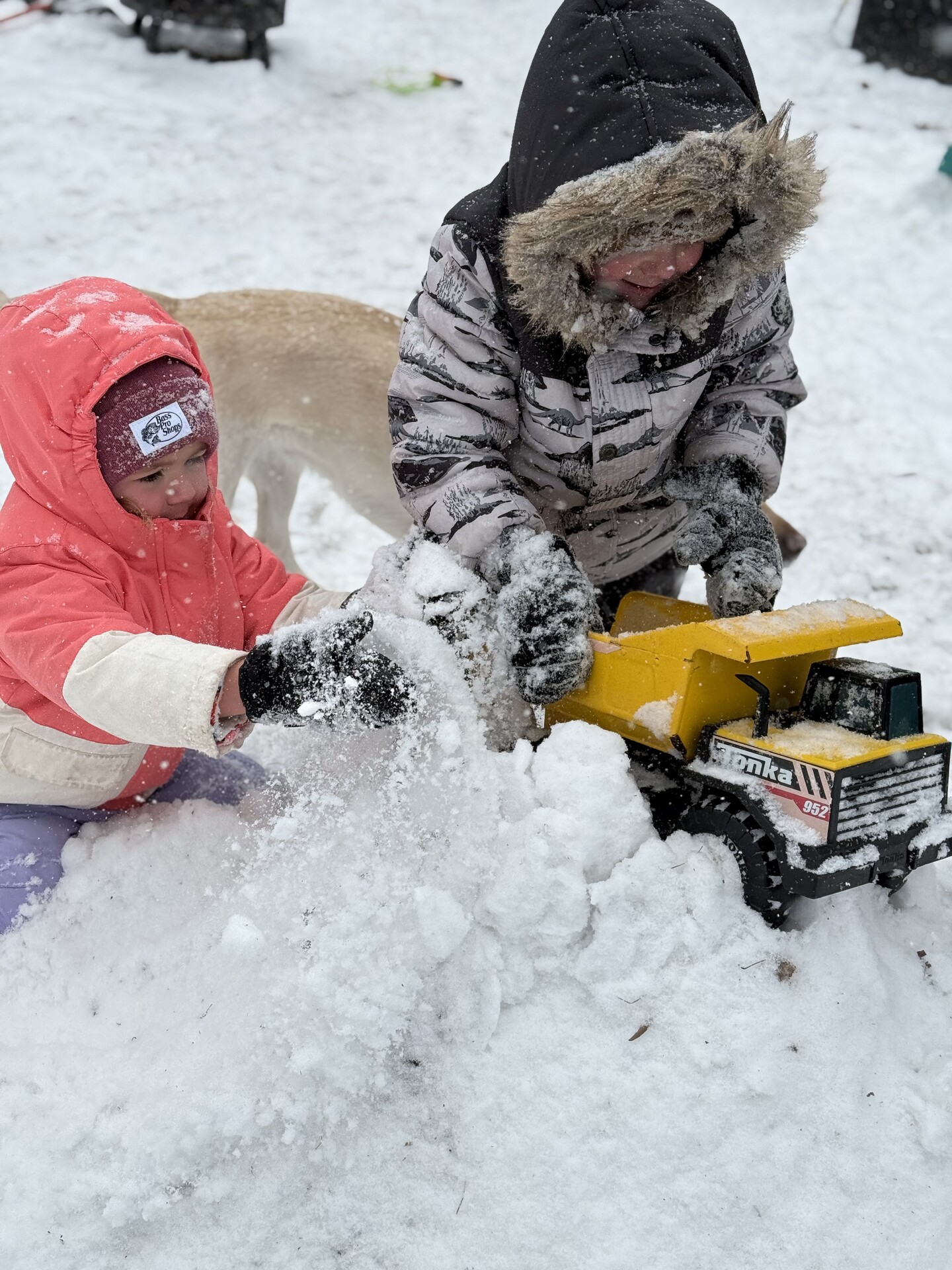 Snow Removal