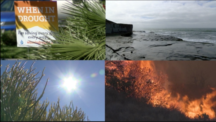 Climate action points.jpg