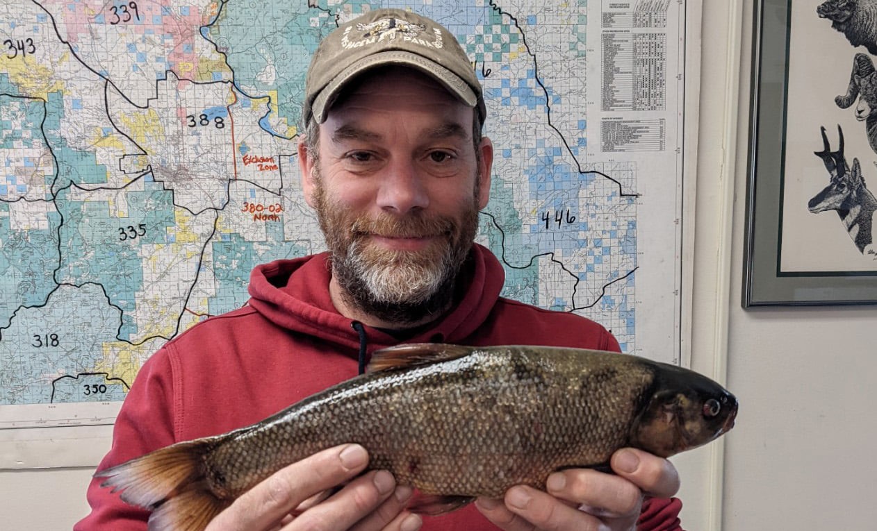 Retired Helena Police Chief catches state record Utah chub