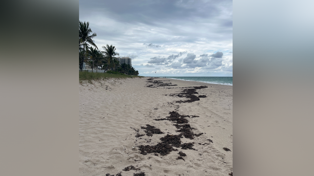 red tide beaches.png