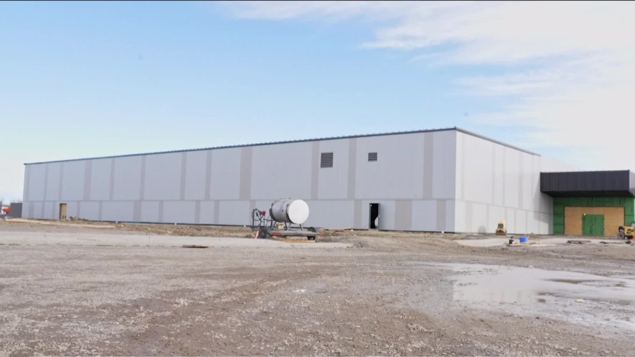 signal peak arena.png