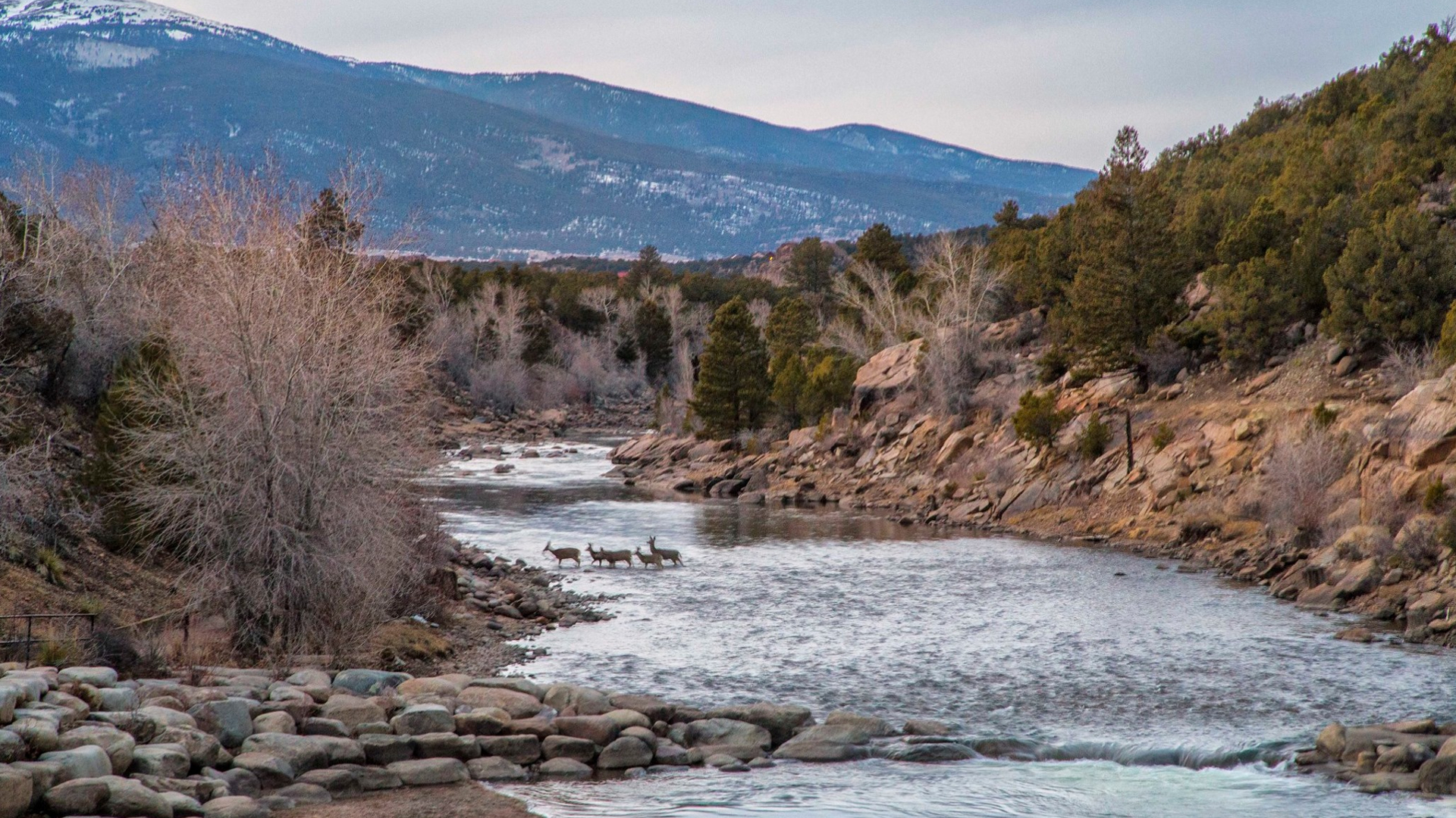 Kimmie Randall Arkansas River.jpg