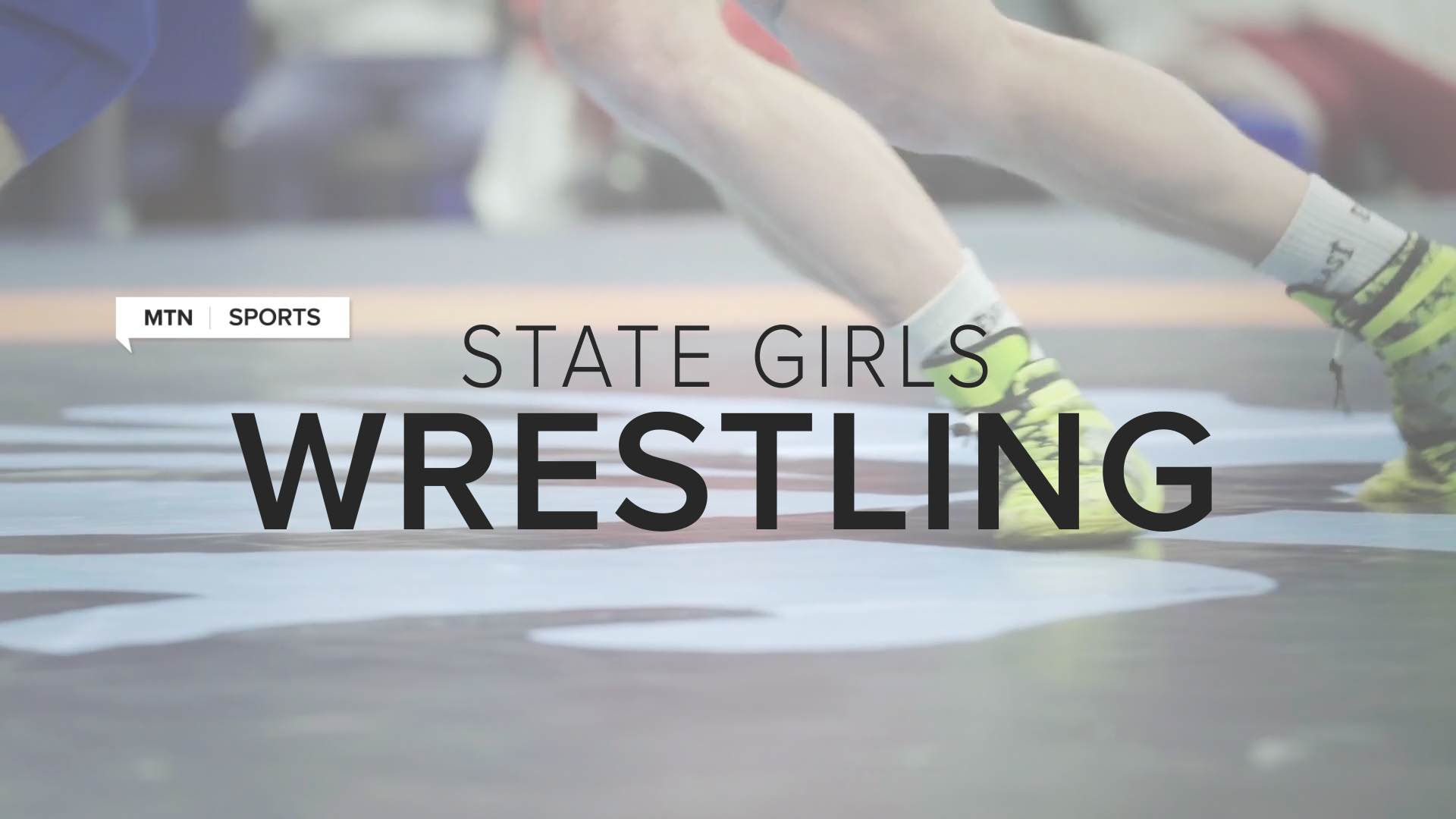 State wrestling