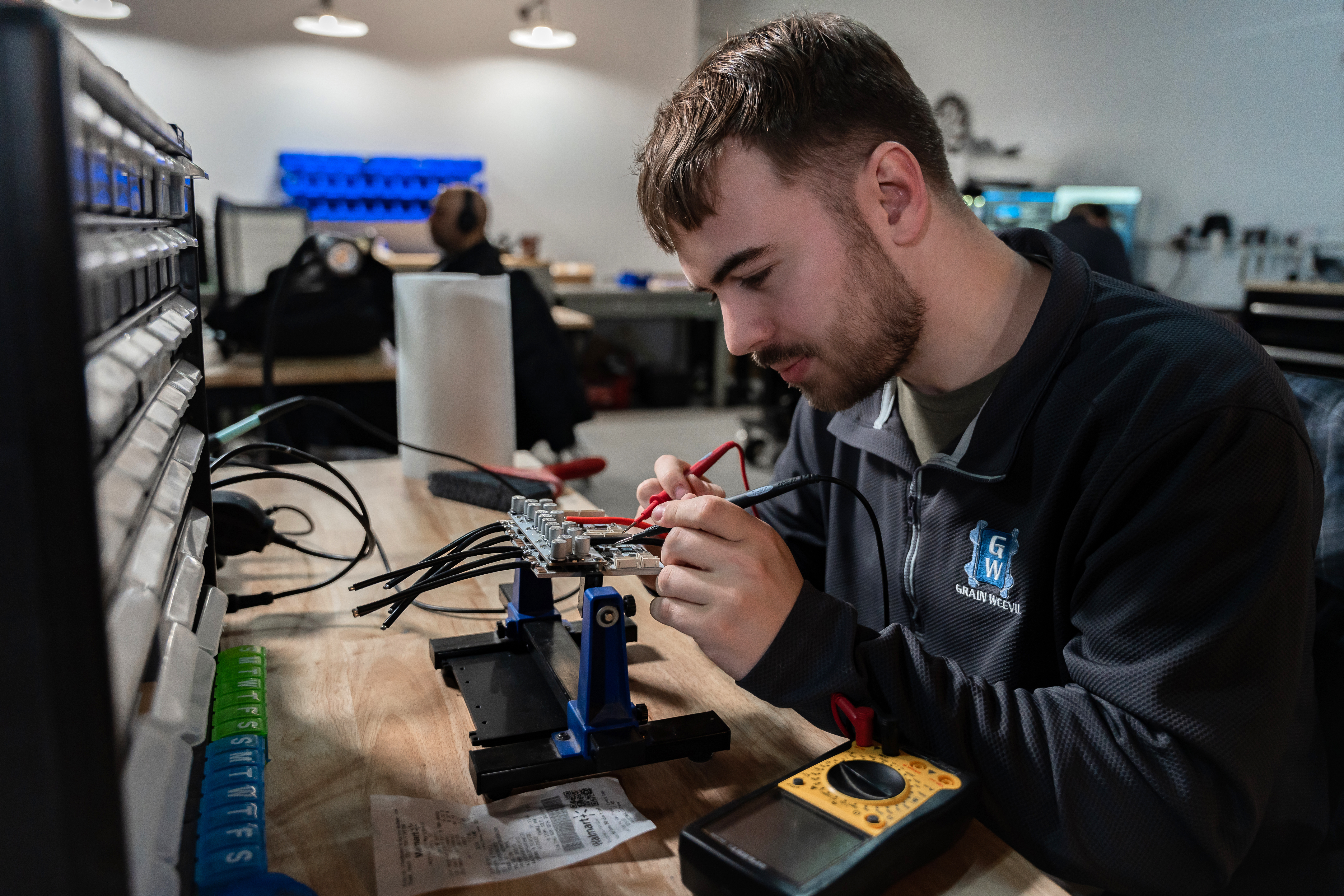 Grain Weevil Photo 1.jpg