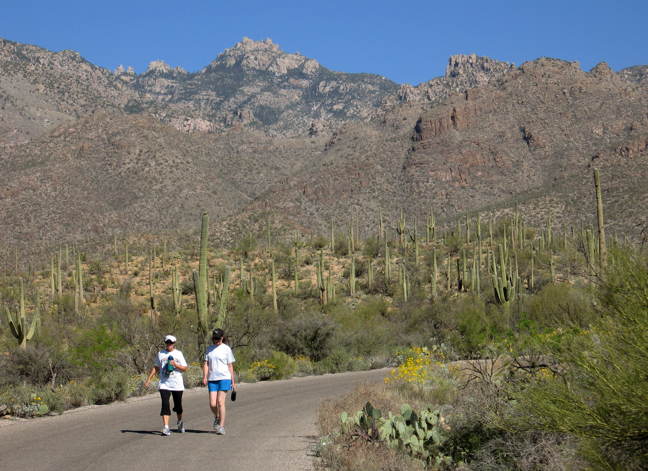Travel-Trip-Southwest Hiking