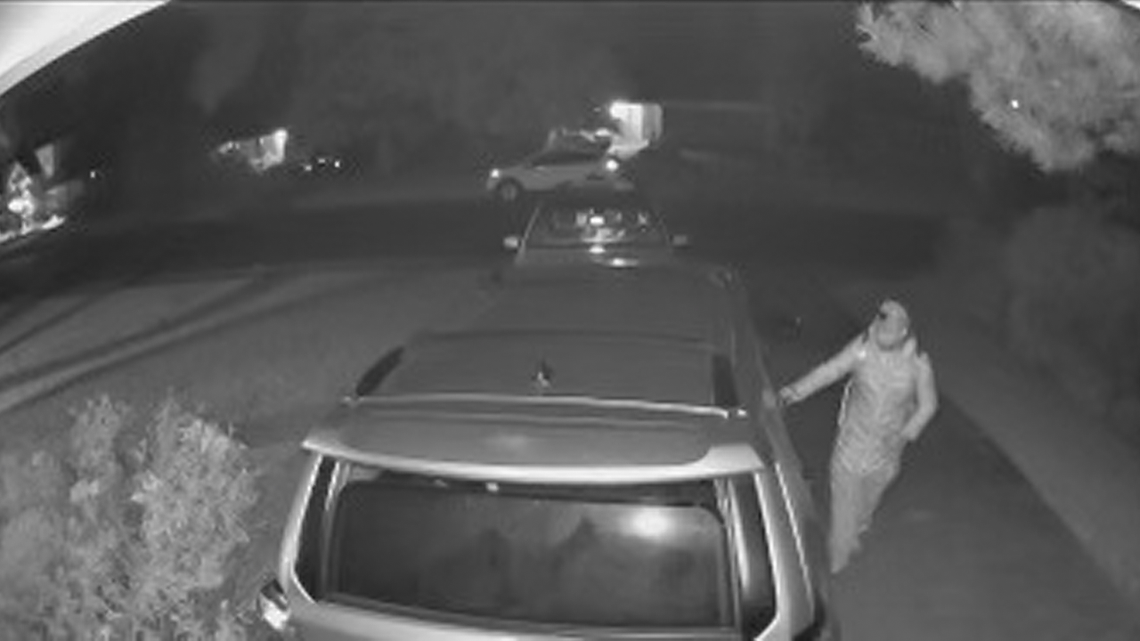 autotheft.png