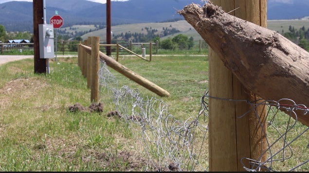 Stevensville School Bus Crash Fence
