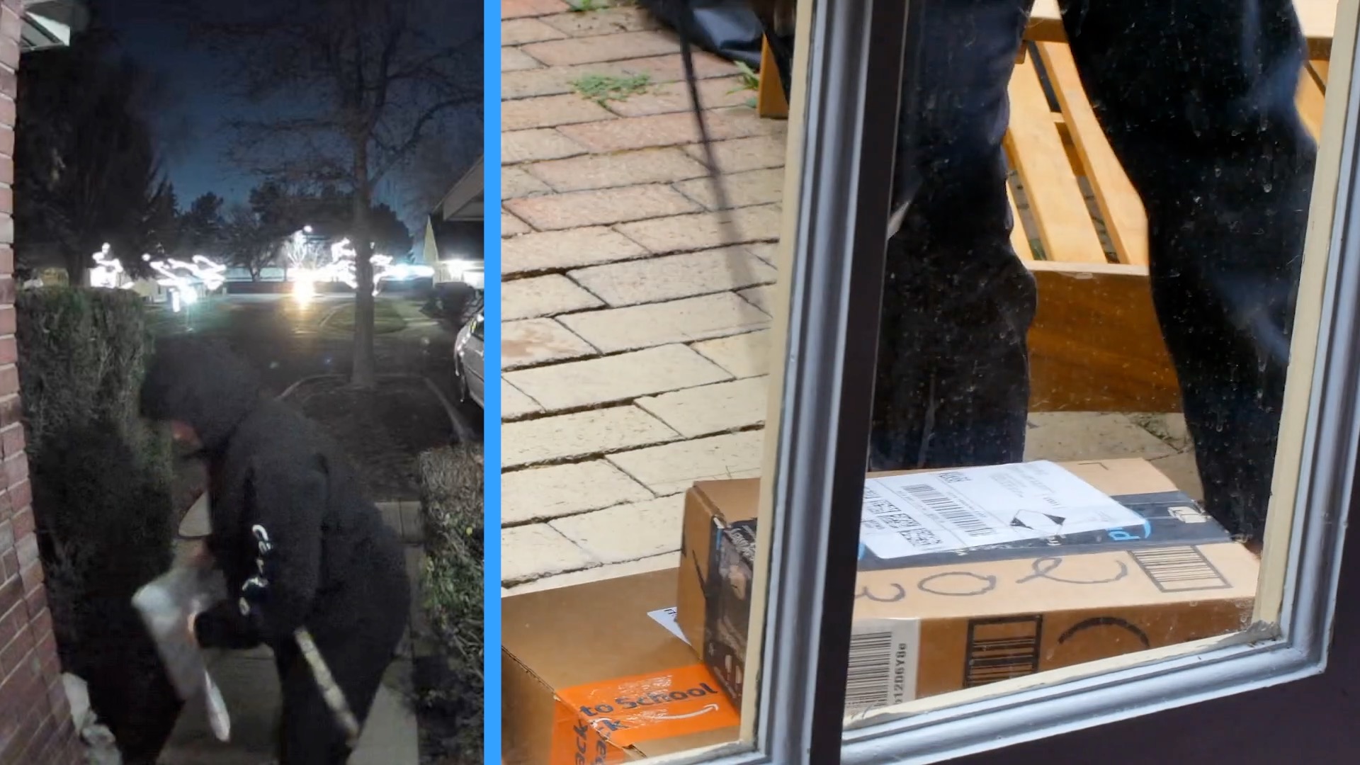 Package Thieves 