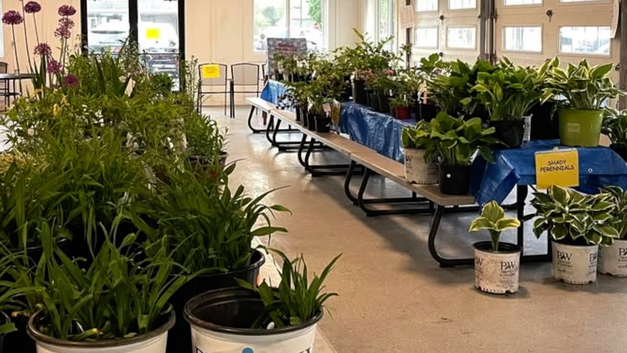 Rockford plant sale.jpg
