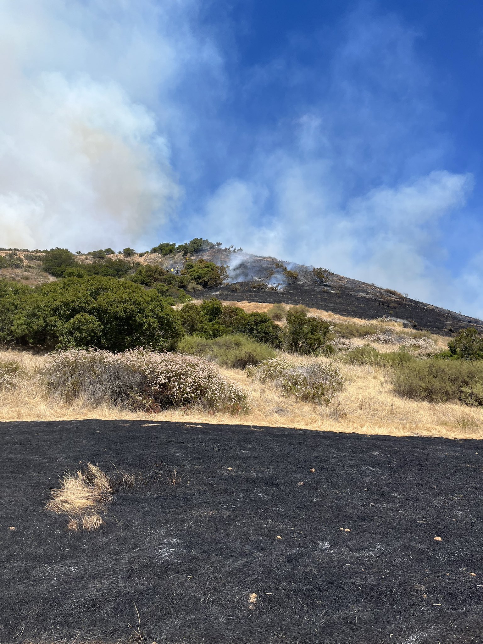 SDFD-MCAS-fire-Miramar-060824.jpeg