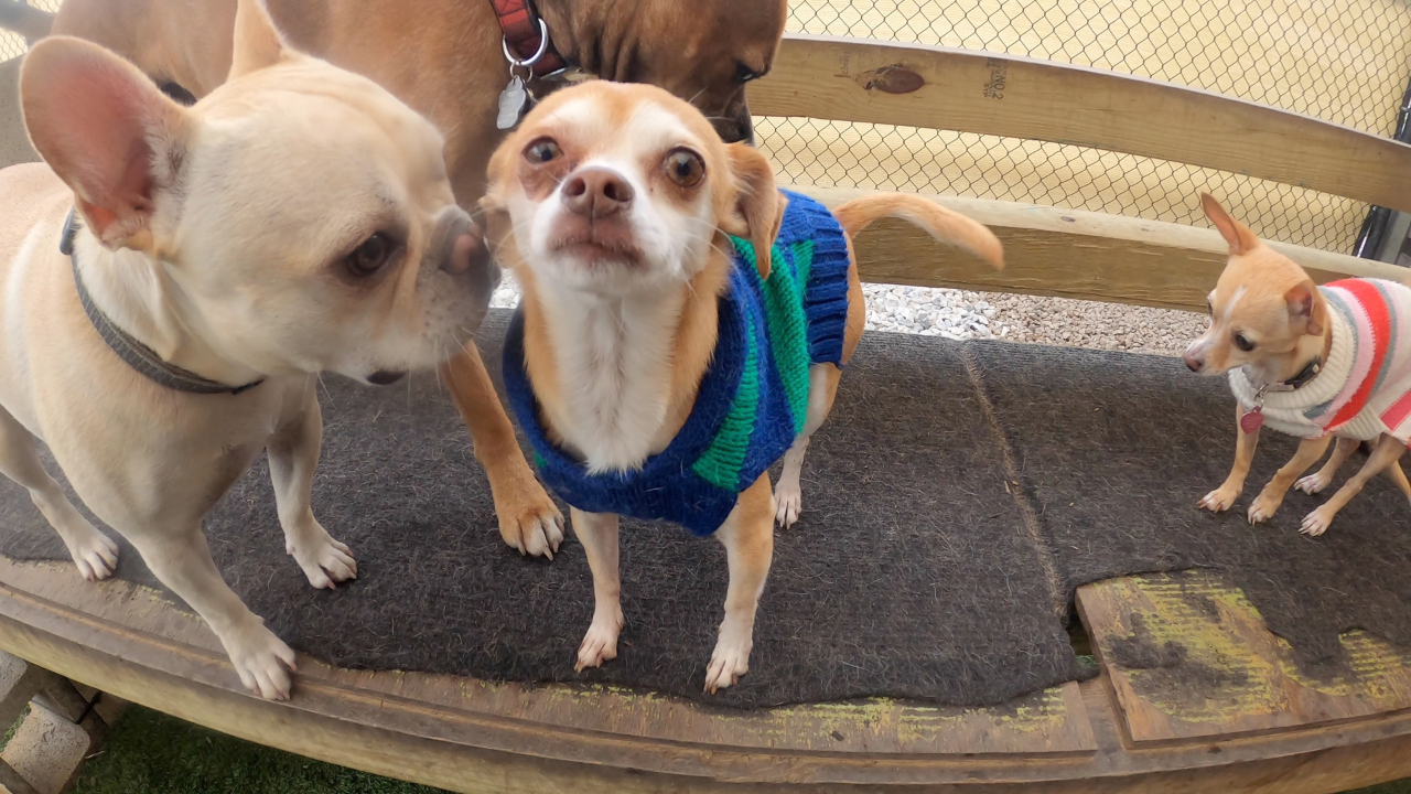 Bay area gets ready for winter freeze